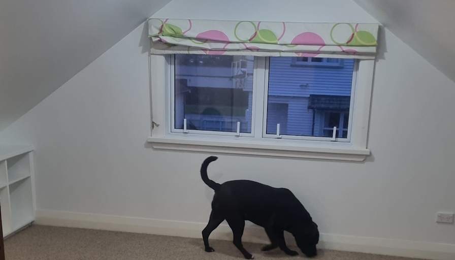 Brendon Wooler's room