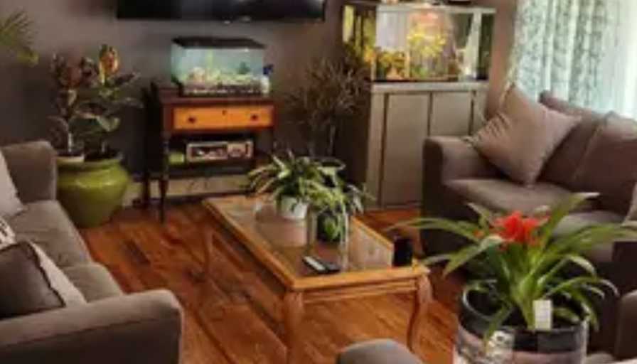 Kevin's room