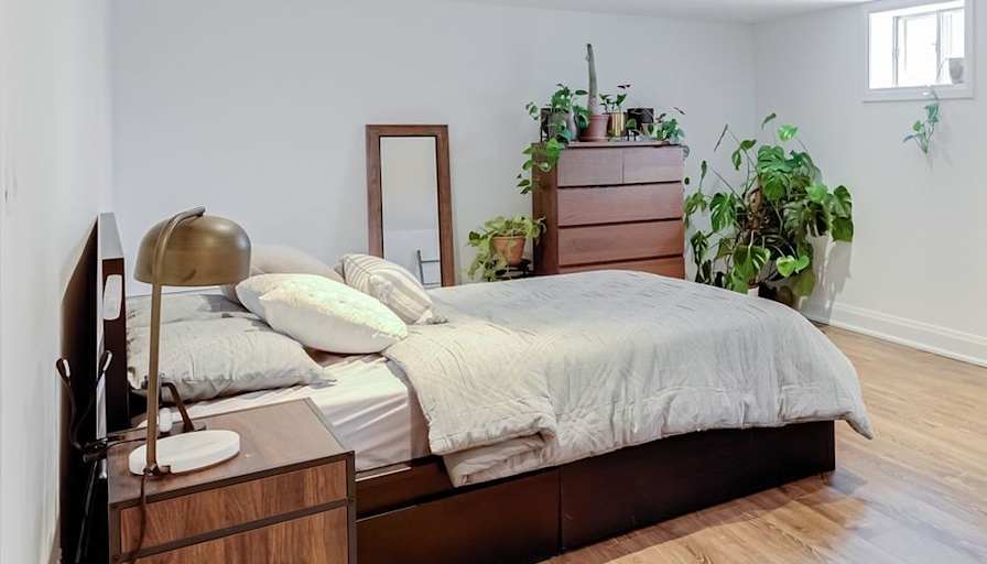 Sean Rentals's room