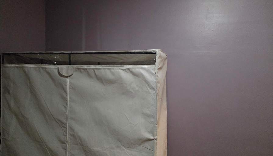 Jeus's room