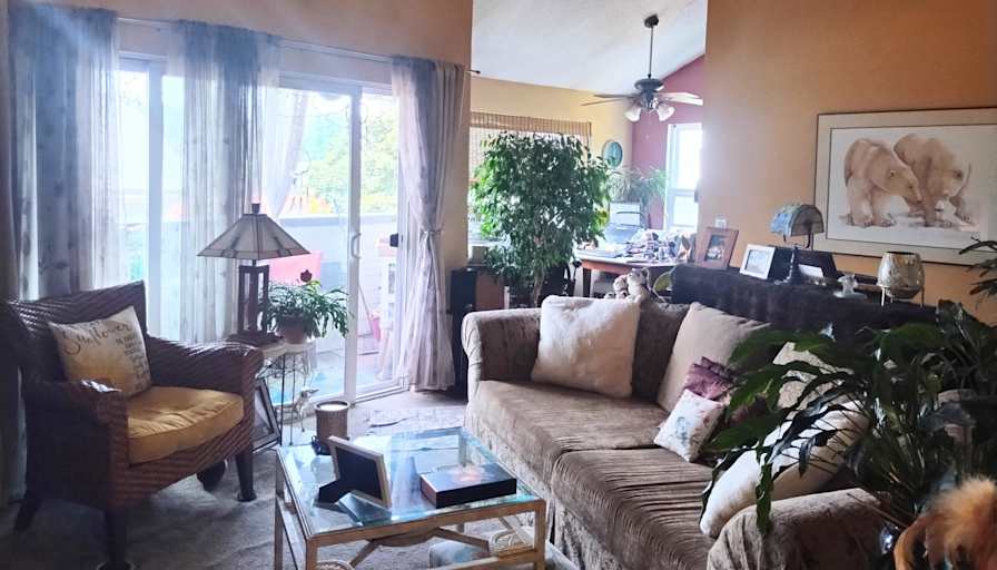 Mary's room