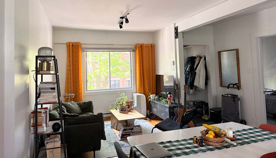 Summer Sage Shaw's room