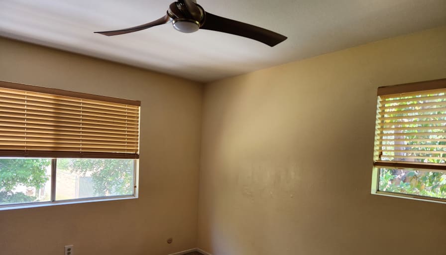 Pat's room