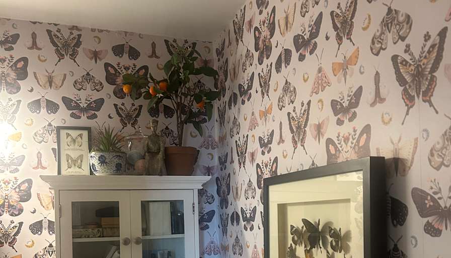 Stuart's room