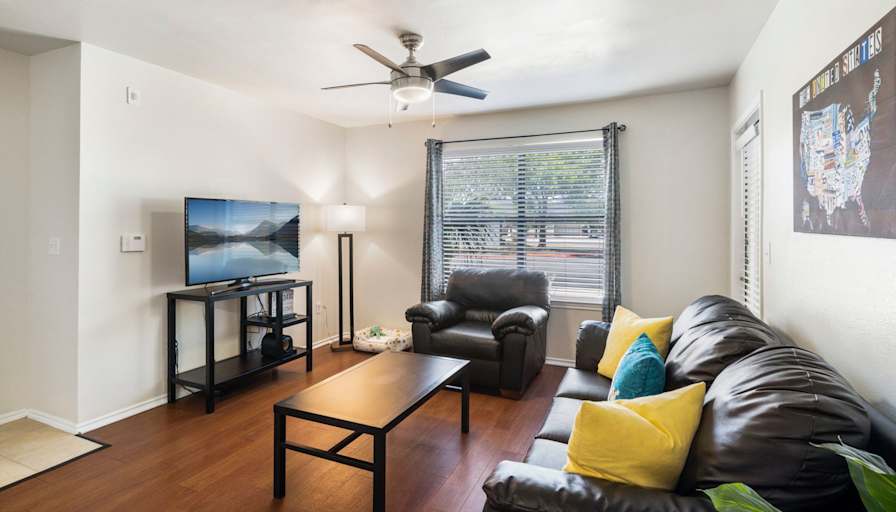 The Oasis's room