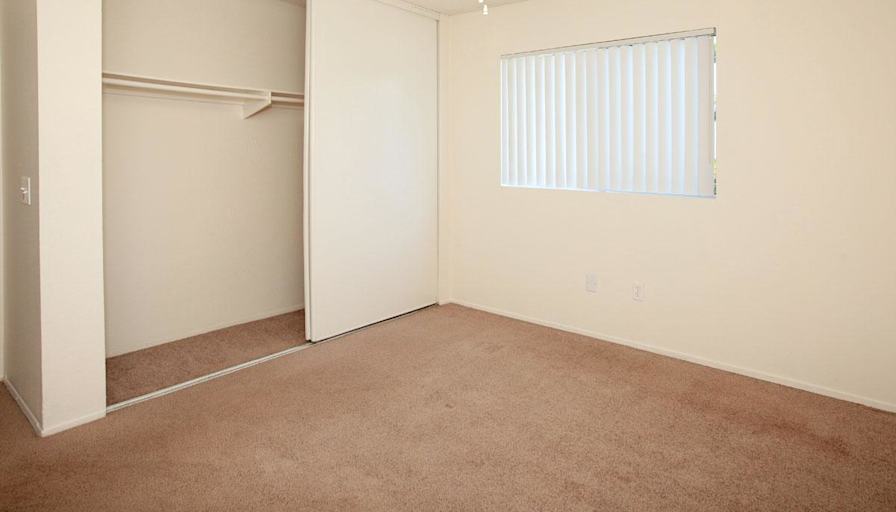 Alexzandria's room