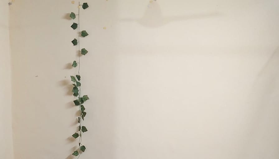 tanvi's room