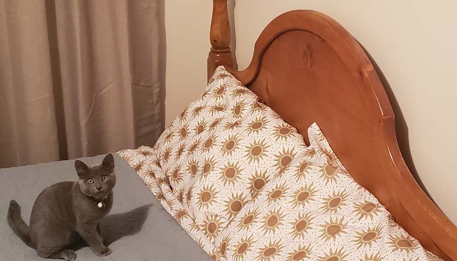 Sam's room