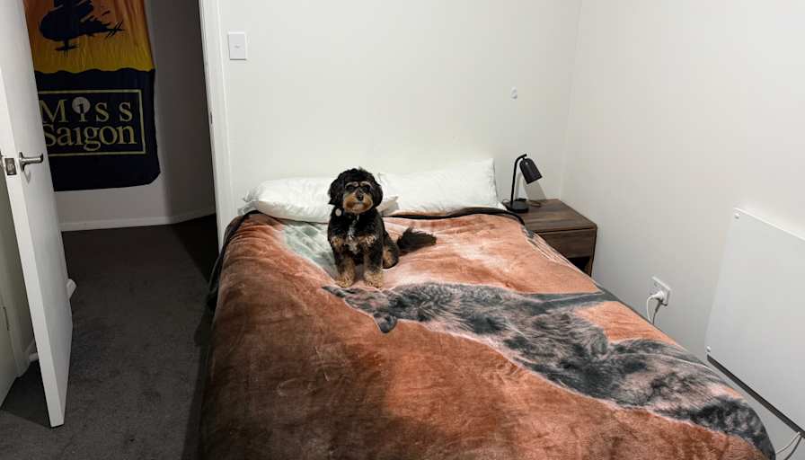Scott's room
