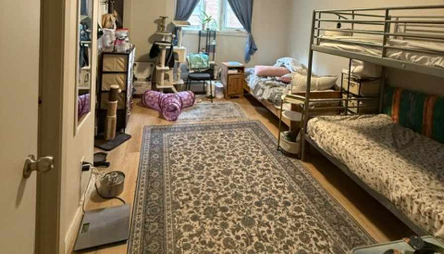 Robert Chuprikov's room