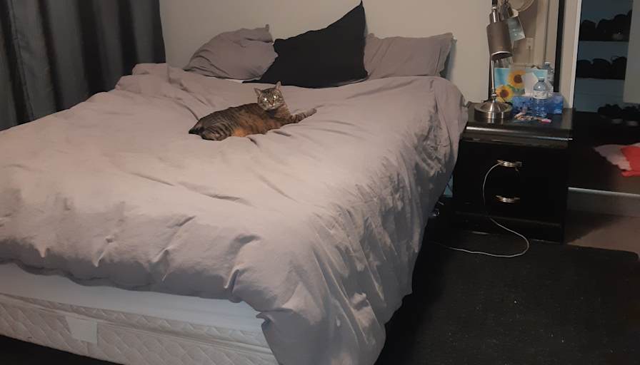 Ran's room