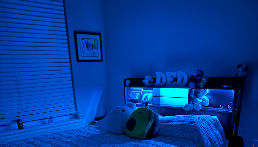 Judith's room