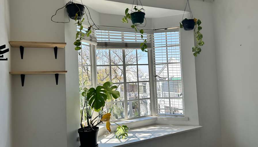 Josh's room