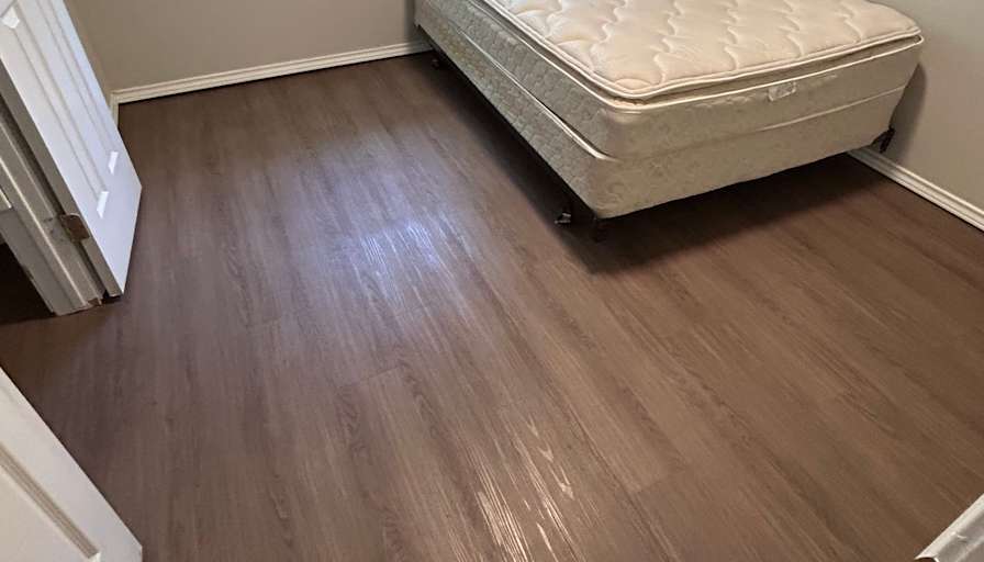 Alexanderia's room