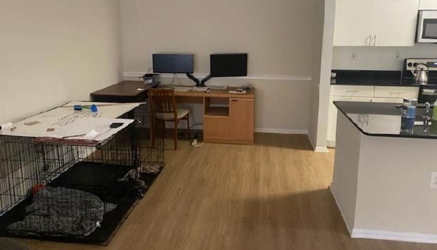 Shawn's room