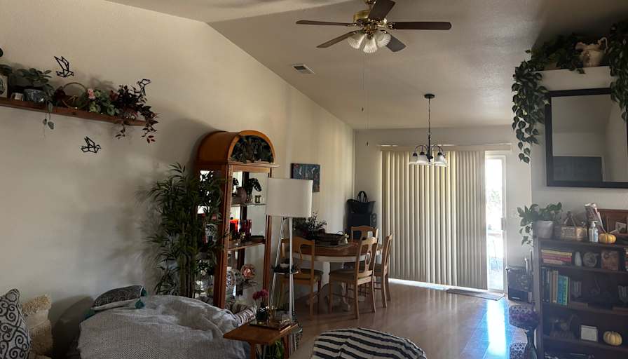 Laura's room