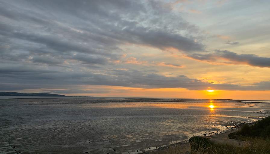 Andy's room