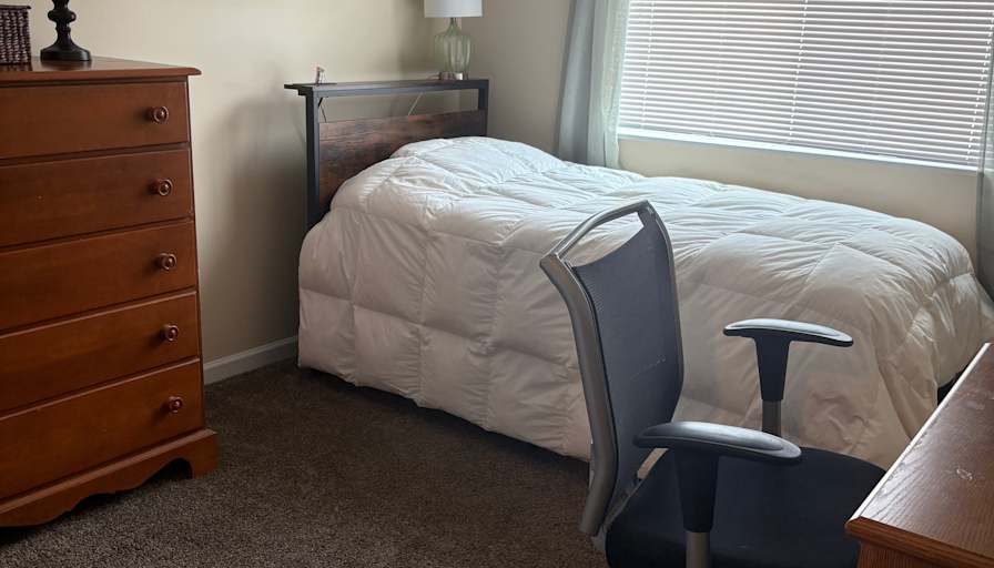 Lauren's room