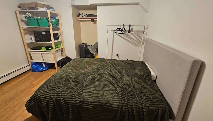 Dove's room