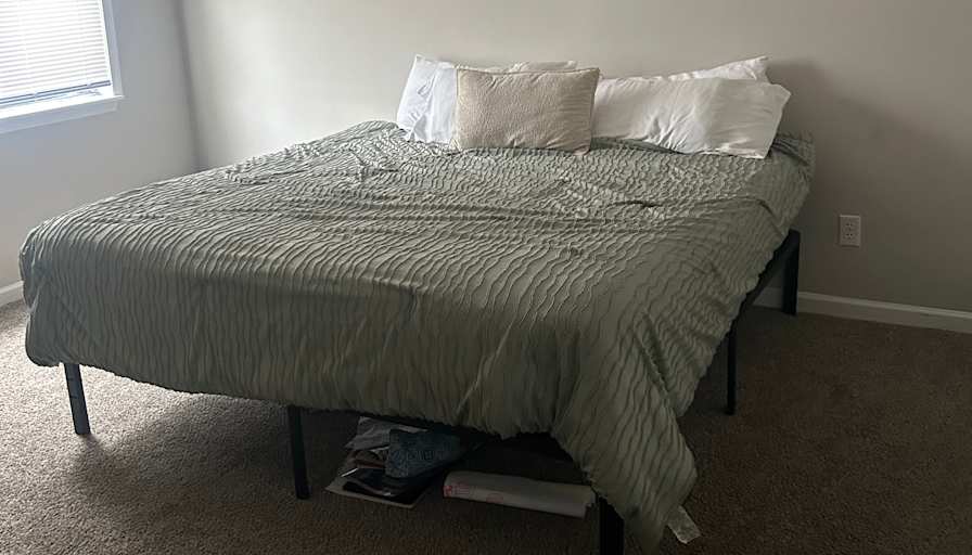 Dominique's room