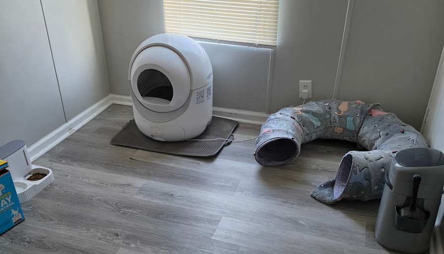 Rosanne donadio's room