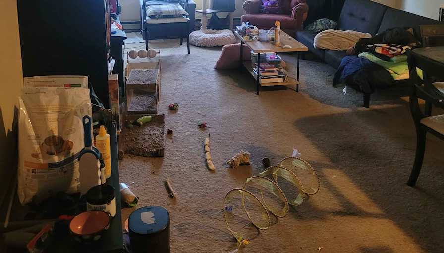 Adryan Bartlett's room
