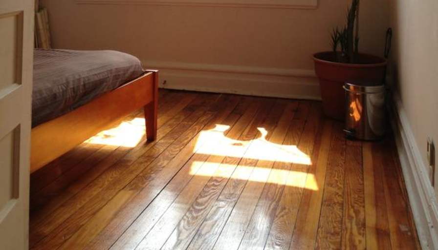 Joshua Strause's room