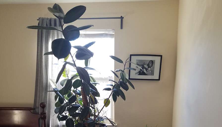 Jay's room