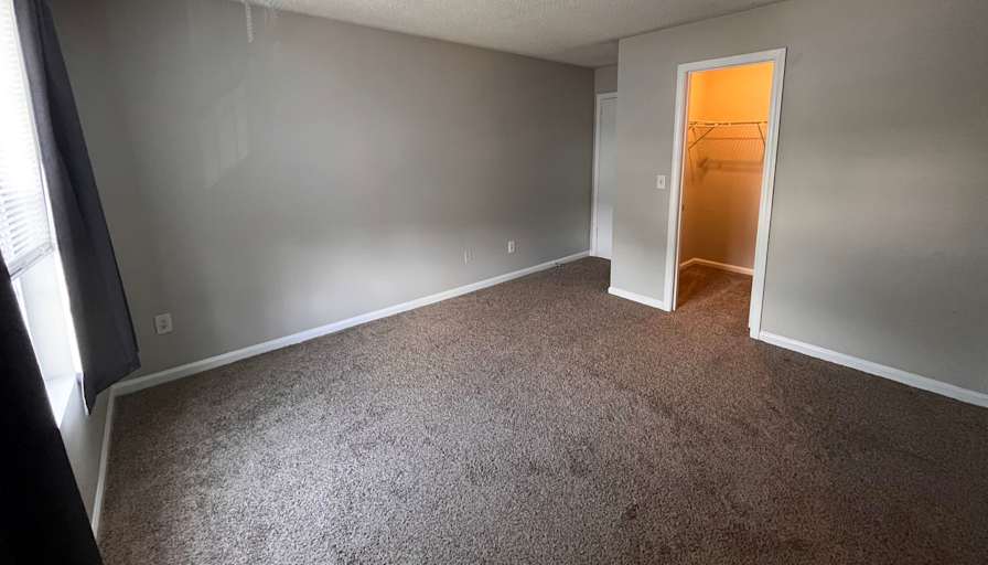 Sophia's room
