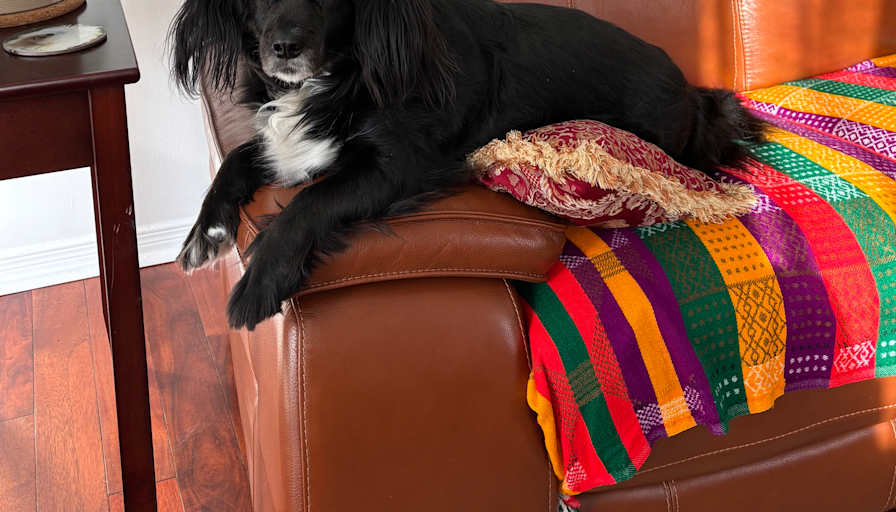 Veronica Keaney's room