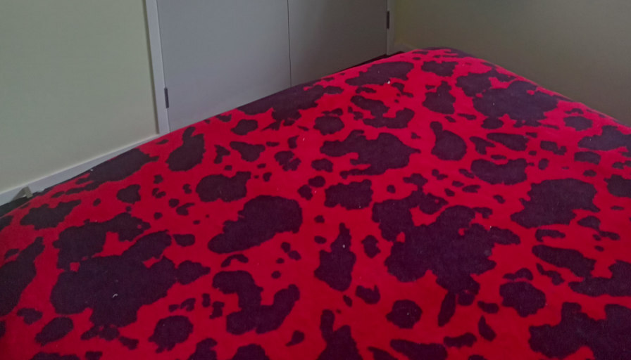 Carl's room