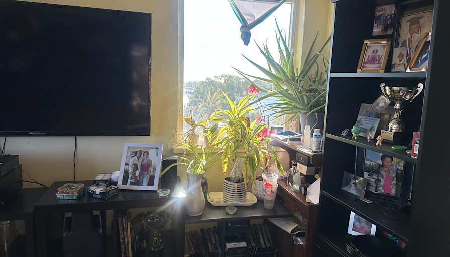 Chin's room