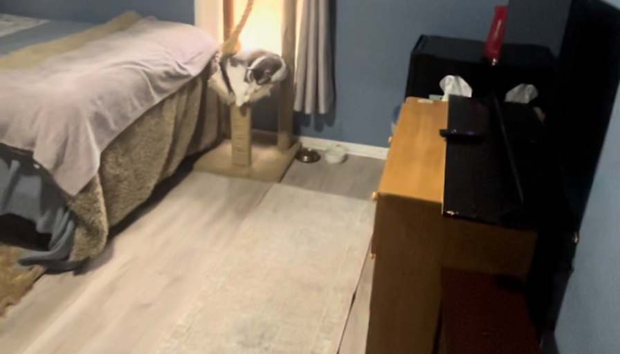 zainab's room