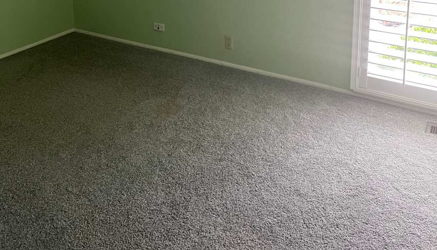 Leslie's room