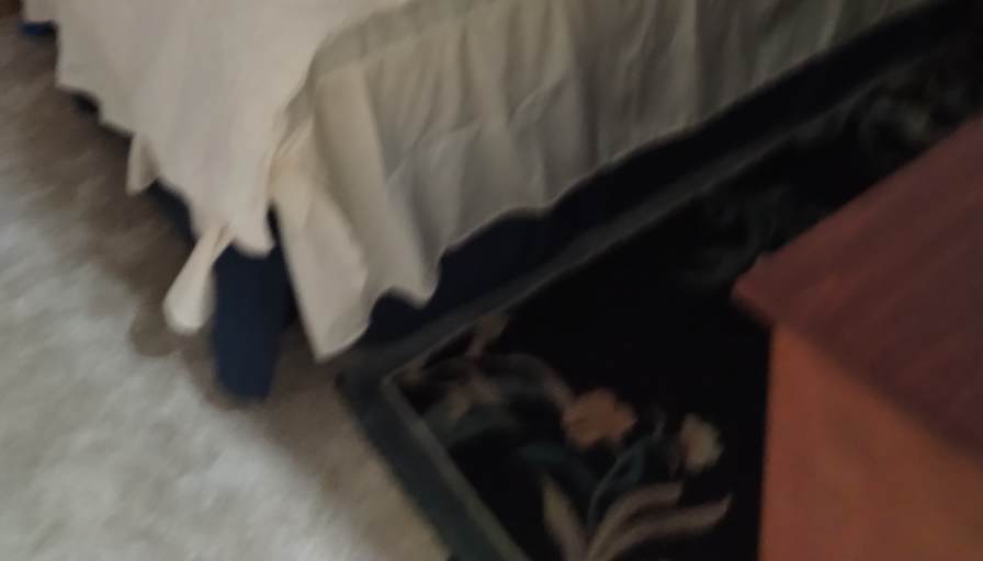 VENERA's room