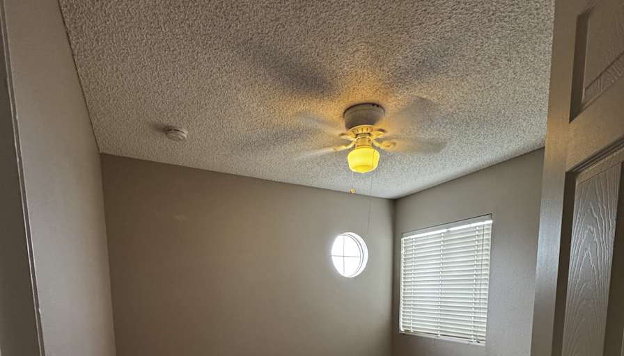 Ivan's room