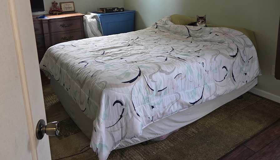 Jan's room