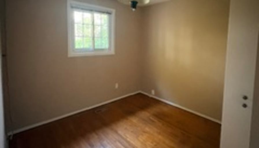 Dan Attisano's room