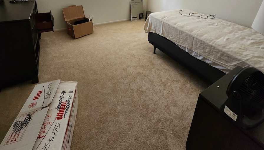 Daniel's room