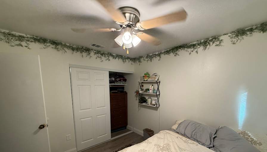 Chayil's room