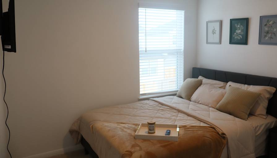 Timi's room