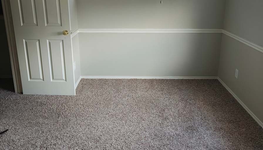 Elise's room