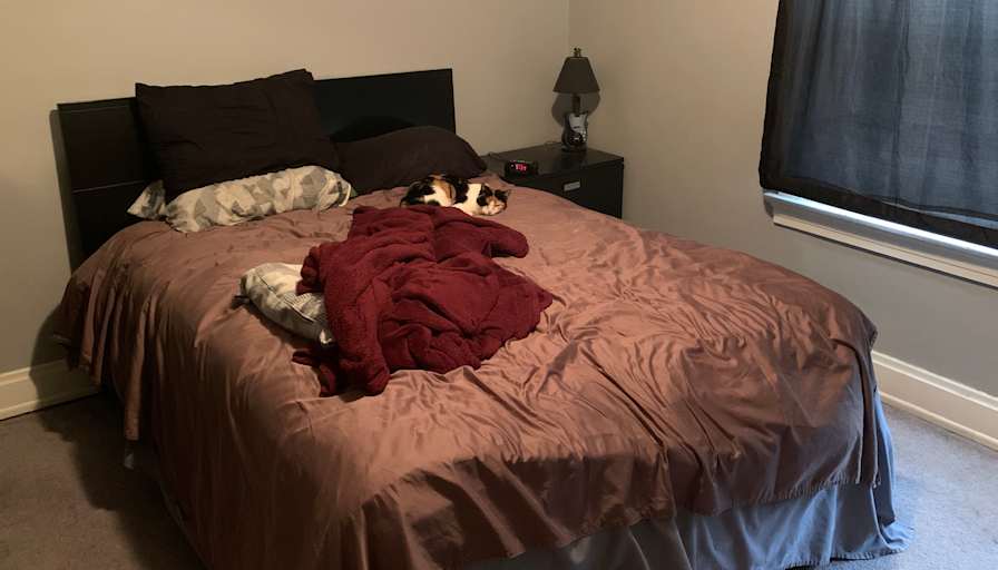 Jerry's room