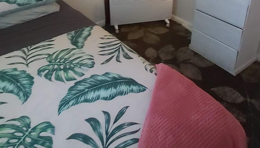 Camillia's room
