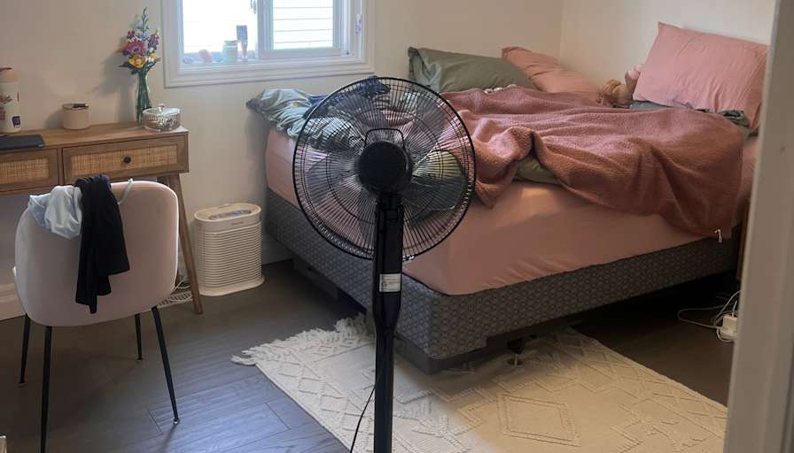 Esther's room