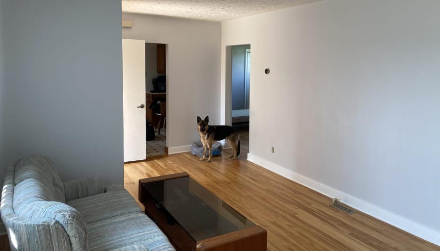 Stephen Mader's room
