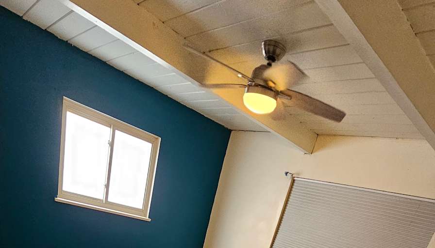 Daniel's room