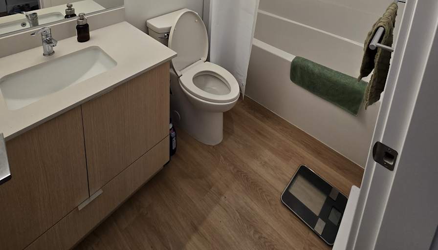 Binaipal's room