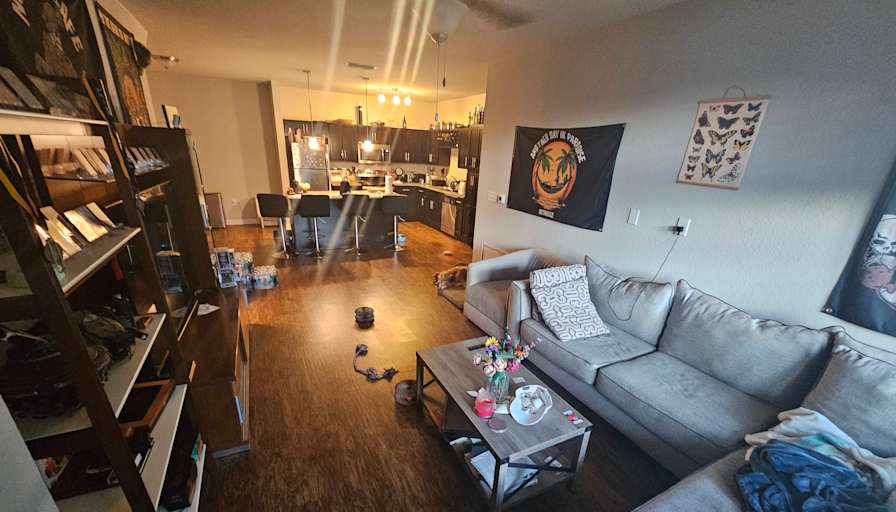 Austin's room