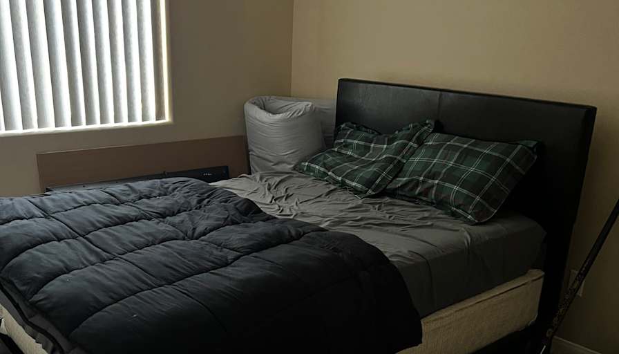 Avi's room